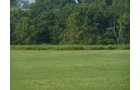 Property photo 10 - 480+/- Acres Offered in 6 Tracts