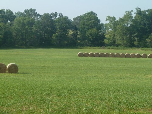 Property photo 2 - 480+/- Acres Offered in 6 Tracts