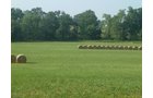 Property photo 2 - 480+/- Acres Offered in 6 Tracts