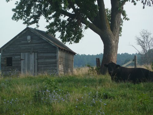 Property photo 9 - 480+/- Acres Offered in 6 Tracts
