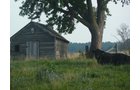 Property photo 9 - 480+/- Acres Offered in 6 Tracts
