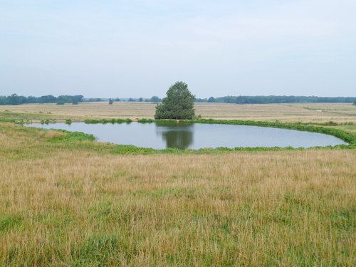 Property photo 1 - 480+/- Acres Offered in 6 Tracts
