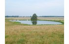 Property photo 1 - 480+/- Acres Offered in 6 Tracts