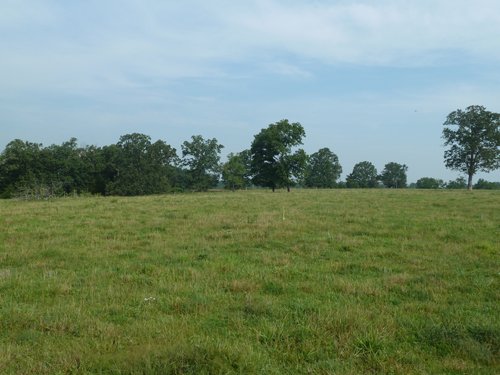 Property photo 13 - 480+/- Acres Offered in 6 Tracts