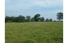 Property photo 13 - 480+/- Acres Offered in 6 Tracts