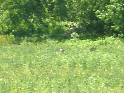 Property photo 2 - 139+/- Acres Offered in 3 Tracts