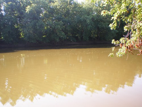 Property photo 11 - 139+/- Acres Offered in 3 Tracts