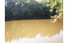 Property photo 11 - 139+/- Acres Offered in 3 Tracts