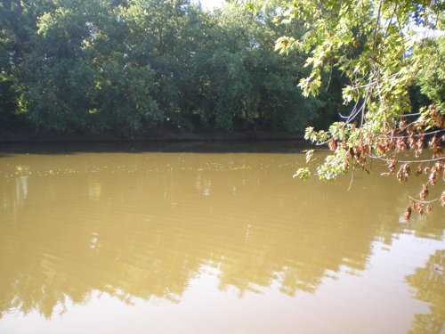 Property photo 24 - 139+/- Acres Offered in 3 Tracts