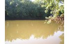 Property photo 24 - 139+/- Acres Offered in 3 Tracts