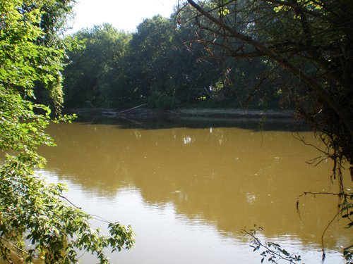Property photo 12 - 139+/- Acres Offered in 3 Tracts