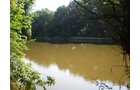 Property photo 12 - 139+/- Acres Offered in 3 Tracts