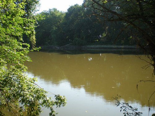 Property photo 5 - 139+/- Acres Offered in 3 Tracts