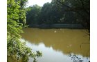 Property photo 5 - 139+/- Acres Offered in 3 Tracts