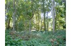 Property photo 6 - 139+/- Acres Offered in 3 Tracts