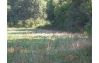 Property photo 9 - 139+/- Acres Offered in 3 Tracts