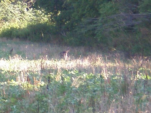 Property photo 31 - 139+/- Acres Offered in 3 Tracts