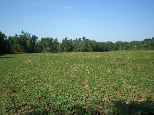 Property photo 20 - 139+/- Acres Offered in 3 Tracts