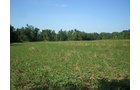 Property photo 20 - 139+/- Acres Offered in 3 Tracts