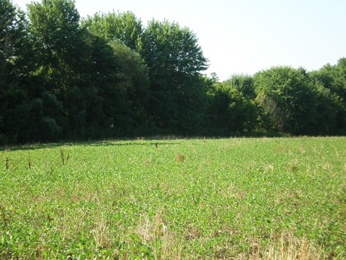 Property photo 26 - 139+/- Acres Offered in 3 Tracts