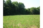 Property photo 26 - 139+/- Acres Offered in 3 Tracts