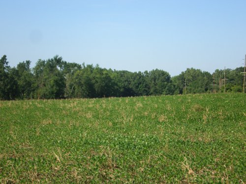 Property photo 30 - 139+/- Acres Offered in 3 Tracts