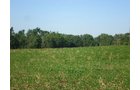 Property photo 30 - 139+/- Acres Offered in 3 Tracts