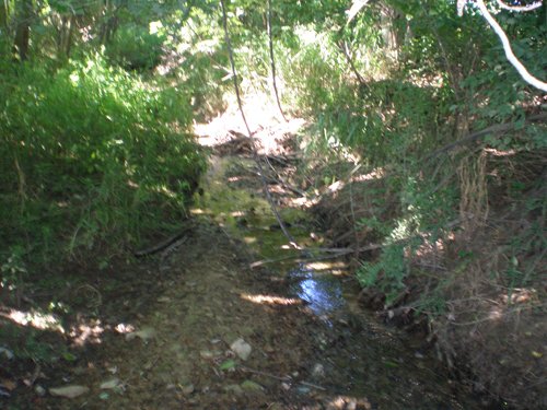 Property photo 7 - 139+/- Acres Offered in 3 Tracts