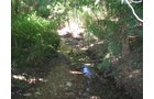 Property photo 7 - 139+/- Acres Offered in 3 Tracts