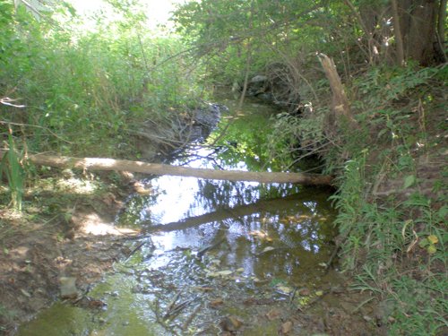 Property photo 16 - 139+/- Acres Offered in 3 Tracts