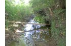 Property photo 16 - 139+/- Acres Offered in 3 Tracts