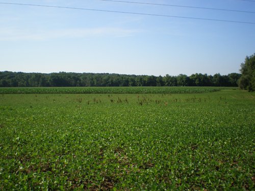 Property photo 19 - 139+/- Acres Offered in 3 Tracts