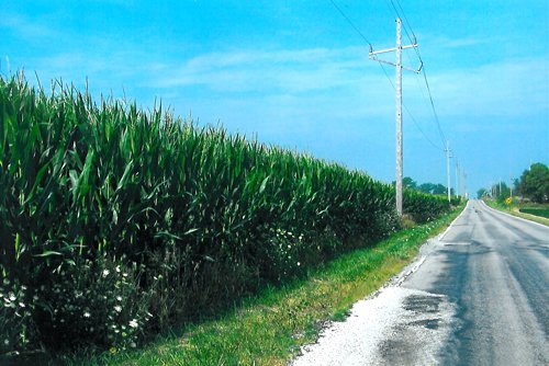 Property photo 1 - 70.811 Acres Productive Tillable Land