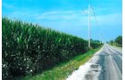 Property photo 1 - 70.811 Acres Productive Tillable Land