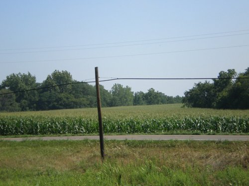 Property photo 1 - 185+/- Acres Offered in 10 Tracts