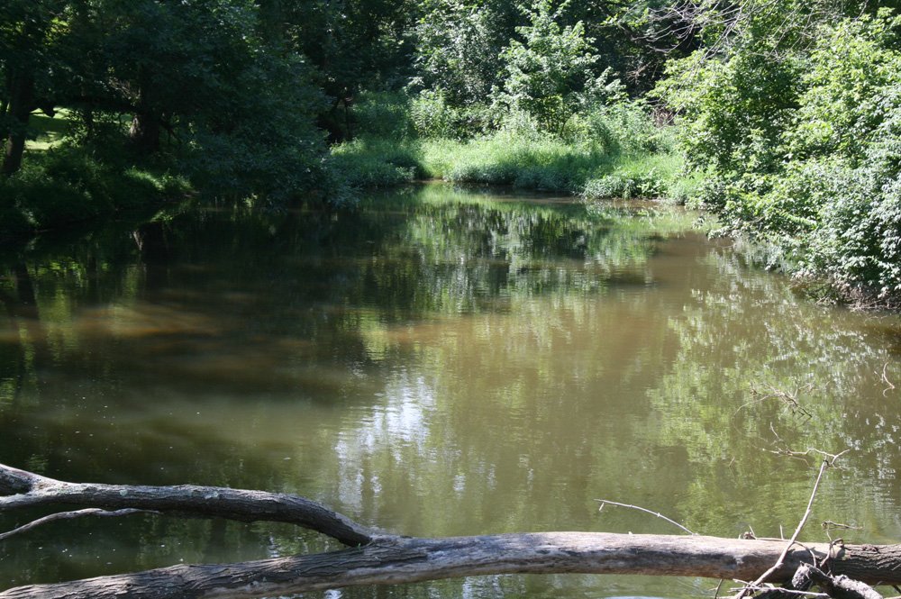 Property photo 9 - Land Auction: 111 Acres in 4 Tracts, Mostly Productive Tillable Land, Woods, Building Site