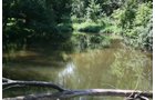 Property photo 9 - Land Auction: 111 Acres in 4 Tracts, Mostly Productive Tillable Land, Woods, Building Site
