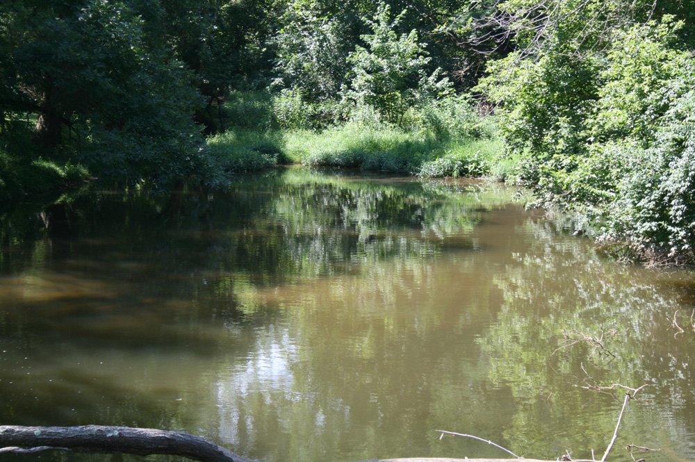 Property photo 11 - Land Auction: 111 Acres in 4 Tracts, Mostly Productive Tillable Land, Woods, Building Site