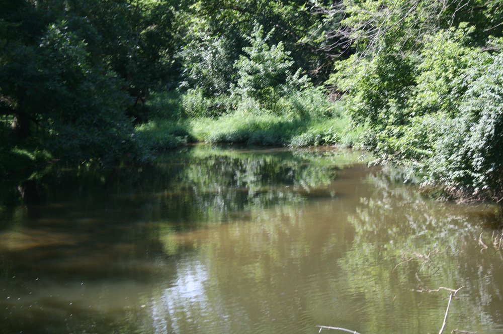 Property photo 7 - Land Auction: 111 Acres in 4 Tracts, Mostly Productive Tillable Land, Woods, Building Site