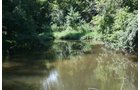 Property photo 7 - Land Auction: 111 Acres in 4 Tracts, Mostly Productive Tillable Land, Woods, Building Site