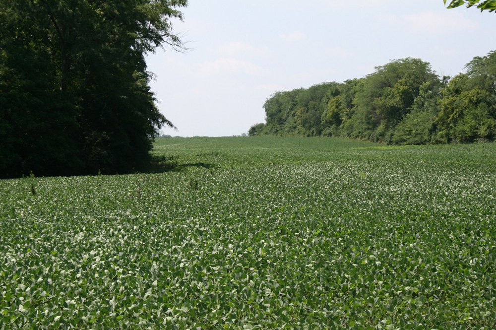 Property photo 1 - Land Auction: 111 Acres in 4 Tracts, Mostly Productive Tillable Land, Woods, Building Site
