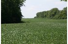 Property photo 1 - Land Auction: 111 Acres in 4 Tracts, Mostly Productive Tillable Land, Woods, Building Site