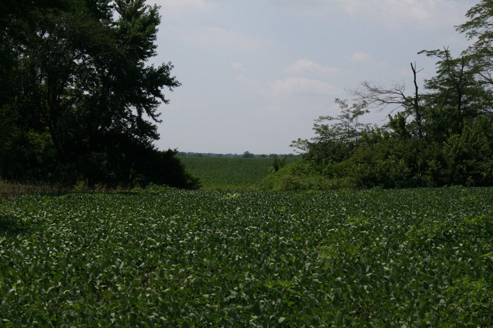 Property photo 6 - Land Auction: 111 Acres in 4 Tracts, Mostly Productive Tillable Land, Woods, Building Site