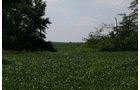 Property photo 6 - Land Auction: 111 Acres in 4 Tracts, Mostly Productive Tillable Land, Woods, Building Site