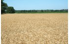 Property photo 9 - 363 Acres Offered in 9 Tracts