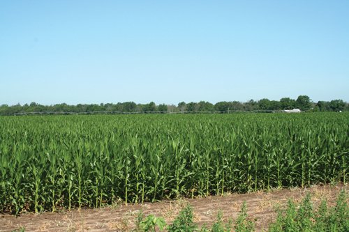 Property photo 12 - 363 Acres Offered in 9 Tracts