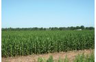 Property photo 12 - 363 Acres Offered in 9 Tracts