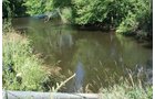 Property photo 14 - 363 Acres Offered in 9 Tracts