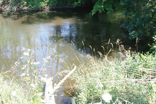 Property photo 20 - 363 Acres Offered in 9 Tracts