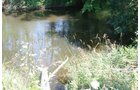 Property photo 20 - 363 Acres Offered in 9 Tracts